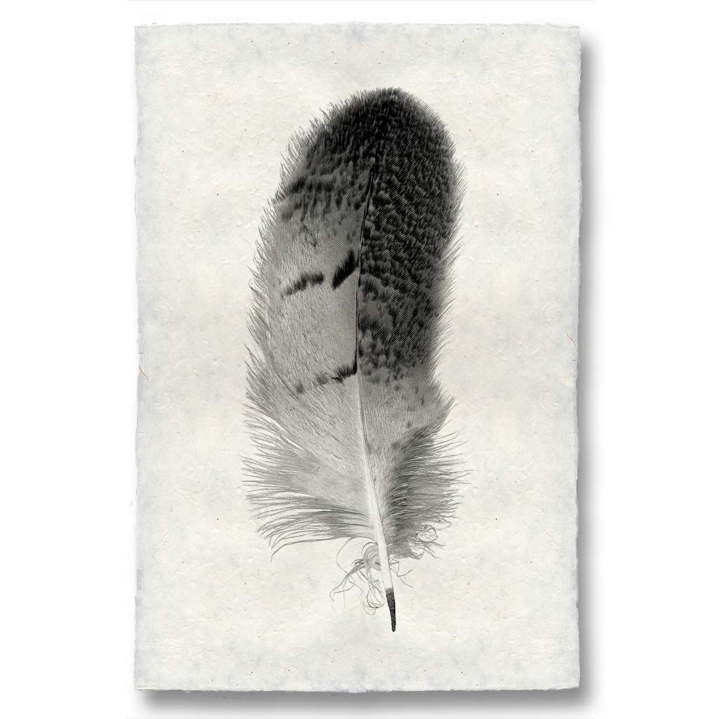 Print | Handmade Nepalese Paper | Feather Study 7 Owl - Barloga Studios - Alpineabode